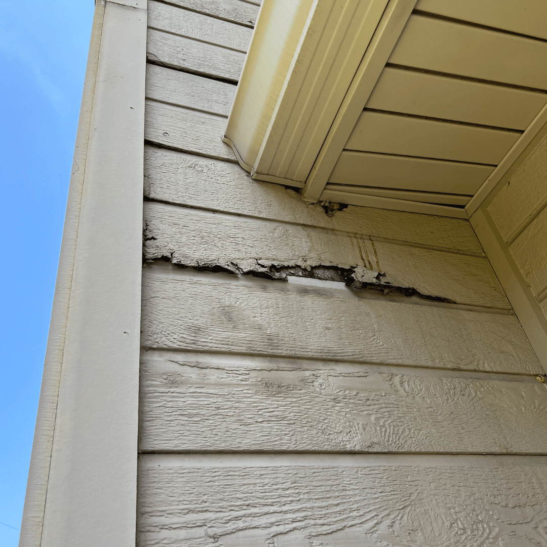 Rotten Masonite Siding