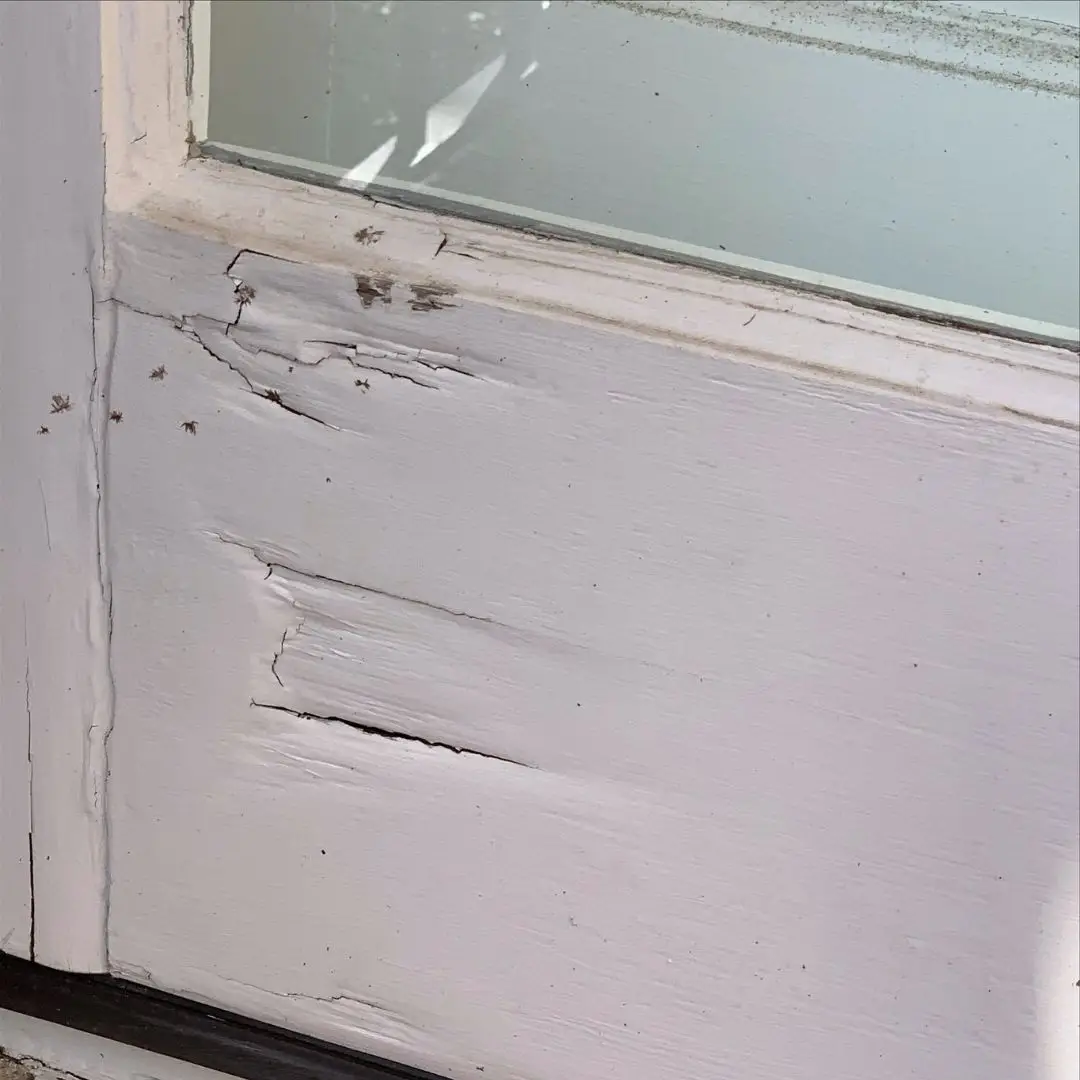 Water damage on a door in Hoover, AL.